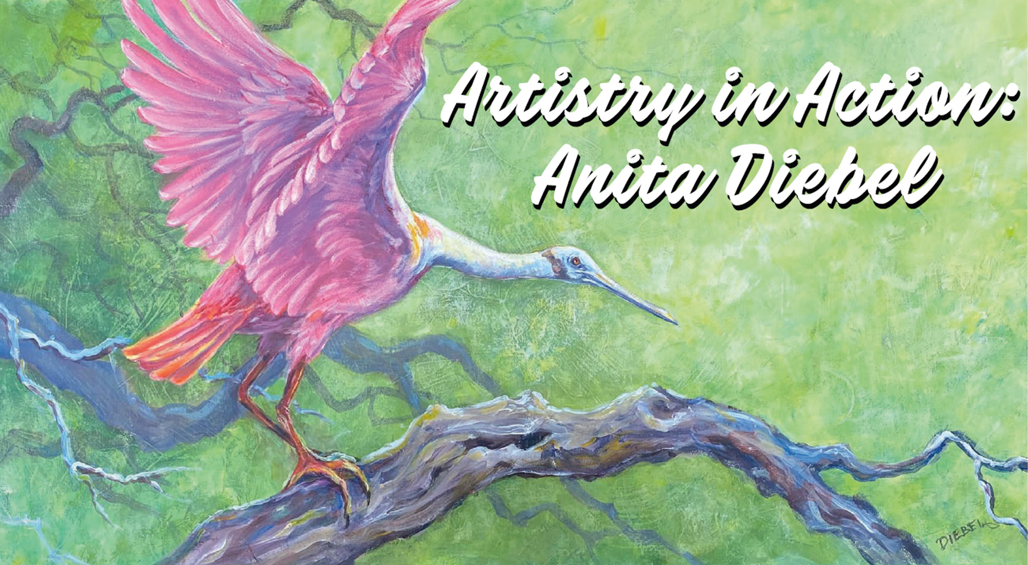 Artistry In Action: Anita Diebel